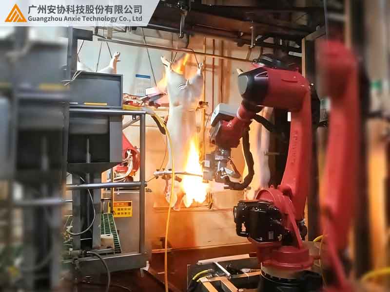 耐高温安全光幕在屠宰车间的检测作用